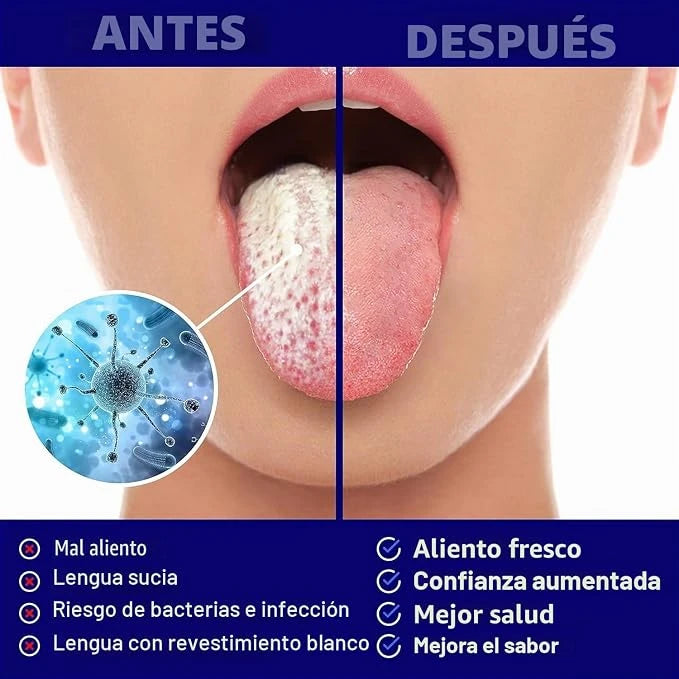 Limpiador Lingual De Acero Inoxidable